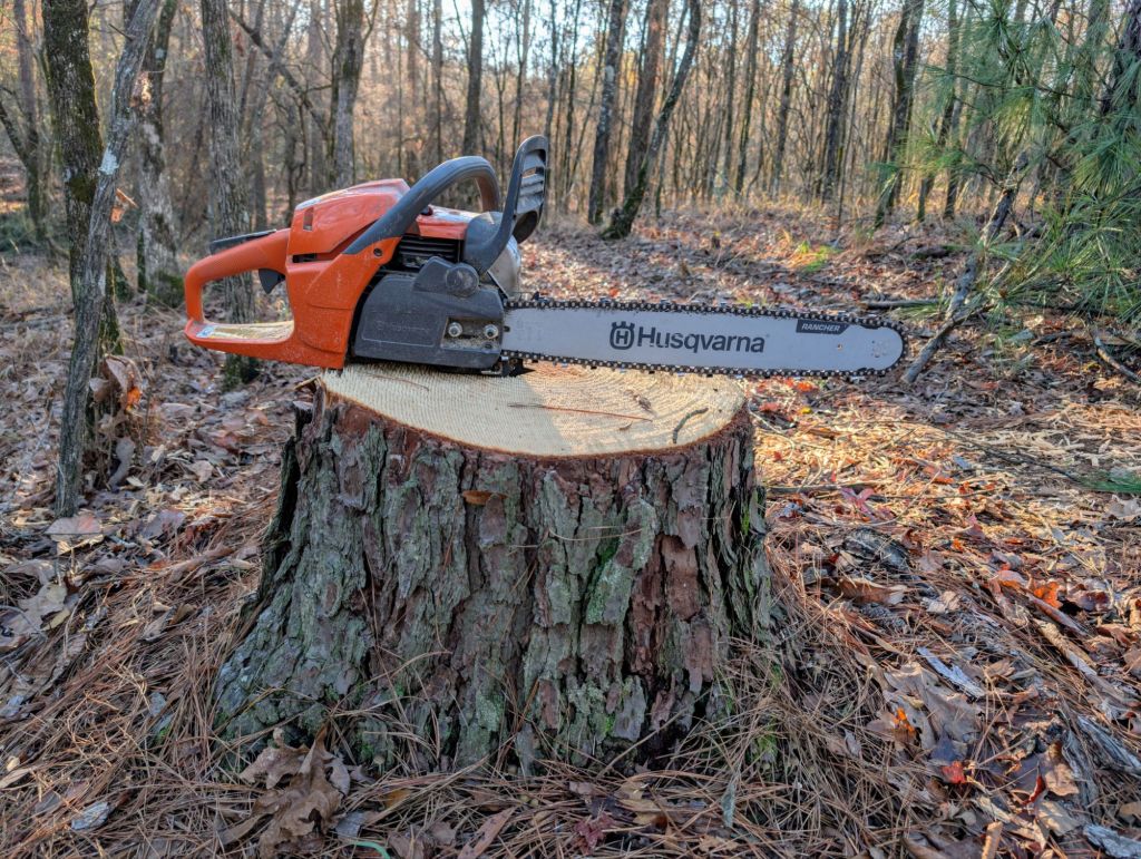 Trails & Forest Thinning&nbsp;2025